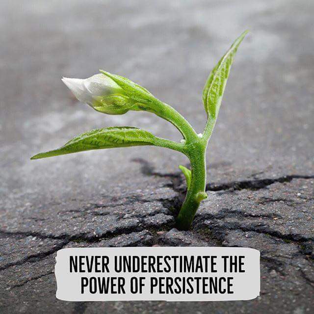 power of persistence